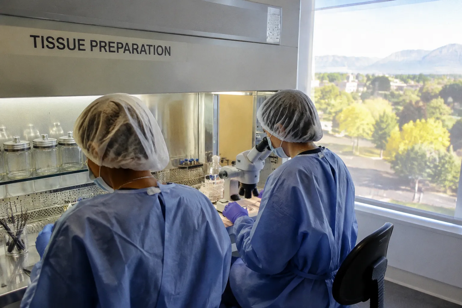Donor Corneal Cell Loss: A Cold Storage Artifact Case