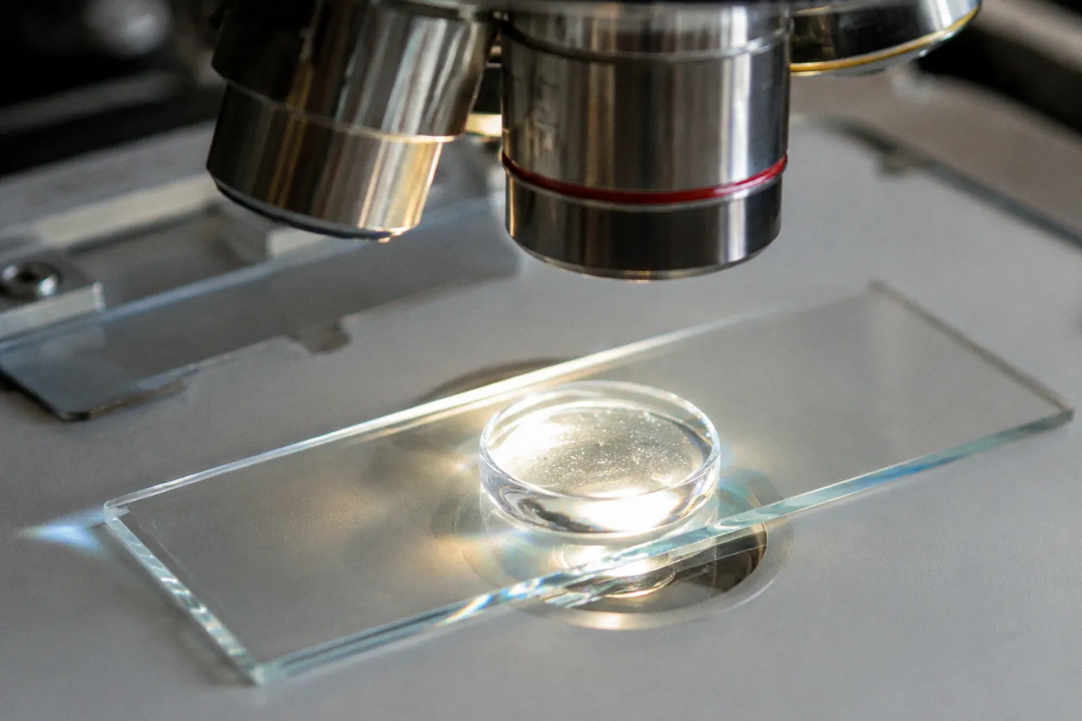 Synthetic Corneal Hydrogels in Human Stromal Repair
